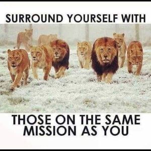 Meet your Posher, Phillip